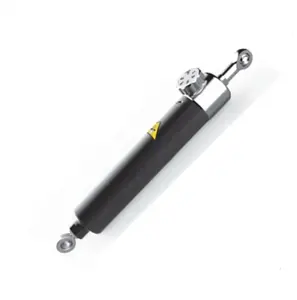 Verstelbare Bidirectionele Demping Roestvrijstalen Hydraulische Cilinder Met Boringdiameter 56Mm Voor Outdoor Fitnessapparatuur