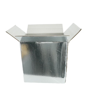 Scatola Termica in Cartone e Alluminio per Spedizione di Pesce, Carne, Verdura, Frutta e Alimenti Congelati - Product Image 5