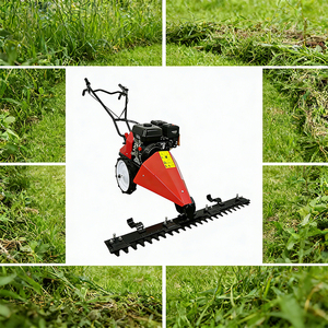 <span class=keywords><strong>Tagliaerba</strong></span> a spinta per deserto 212cc a benzina, larghezza di taglio 80-120cm, pneumatici solidi per terreni sabbiosi e asciutti - Product Image 1