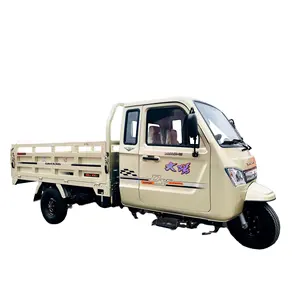 DAYANG-triciclo de carga de tres ruedas, vehículo motorizado de 3 ruedas con cabina de conducción, a la venta, precio barato