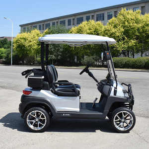 Golf Cart <b>2</b> <b>Passengers</b> High Quality Buggy Customized Motor Acid Battery Controller Lead Color Typ - Product Image 3
