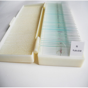 Bovine cervical ligament section, connective tissue, animal and plant specimen sections, <b>microscope</b> slides, higher education - Product Image 1