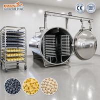 Machine de lyophilisation certifiée CE en acier inoxydable 304 pour fruits, légumes, aliments séchés, myrtilles, ail, ananas, série JXFD
