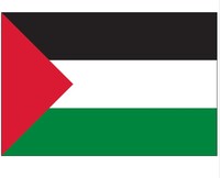 Drapeaux de voiture Palestine en polyester à impression personnalisée pas chers avec tige en plastique