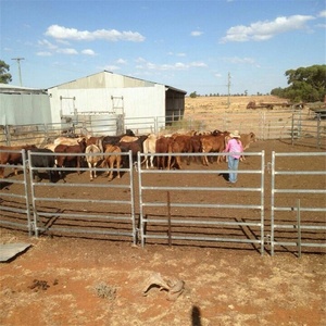 30x60 مللي متر البيضاوي أنبوب مُغلفن الماشية الأغنام الماعز الحصان الماشية لوحات الفناء سياج - Product Image 6