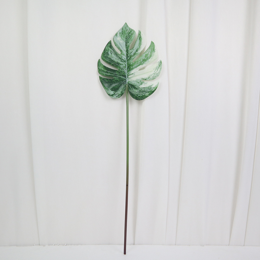 Bianco verde - 52 cm