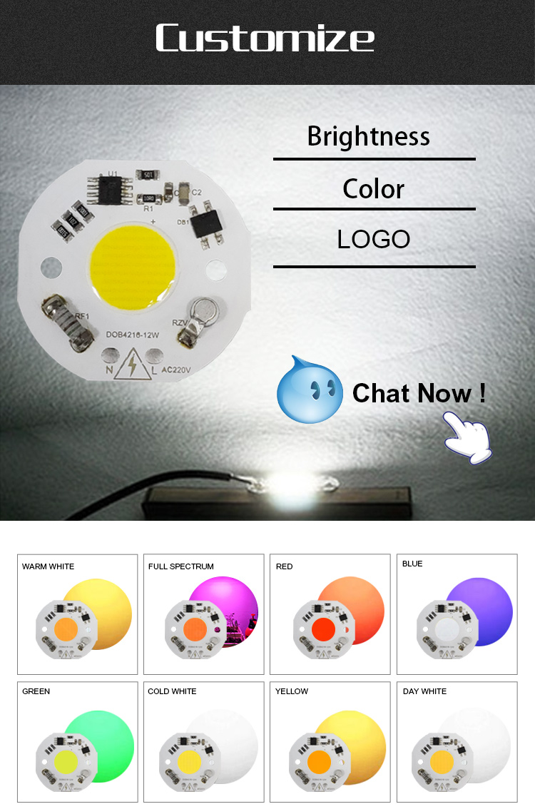 Surge Protection Smart LED Module Driverless High Brightness 12W LED Chip