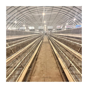 Uygun fiyat kümes hayvanları tarım ekipmanı A tipi katman tavuk kafesi 2000 kuş için otomatik sistemli - Product Image 6