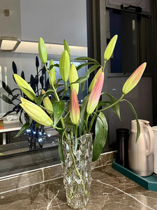 จานสลัดอาหารขวดน้ำแก้วขวดน้ำ - Product Image 6