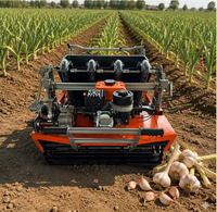 Semoir à ail autopropulsé à 4 rangs avec moteur à essence pour la plantation de l'ail dans les fermes agricoles