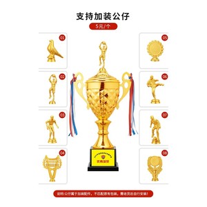 Trophée Métallique BOWEN 1200G 1000G 700G 500G 300G 240G Personnalisable pour Récompenses de Compétitions Sportives, Enfants, Maternelle, Entreprises - Product Image 5