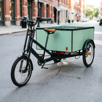 Tricycle électrique cargo à 3 roues pour adultes, 850W-1000W, fourni par l'usine, scooter électrique ouvert à 3 roues