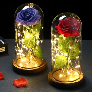 현실적인 질감 장미 미녀와 야수 장미 유리 돔에서 발렌타인 데이 선물 및 어머니의 날 선물을위한 LED 꽃