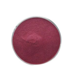 Poudre d'extrait de baie d'<span class=keywords><strong>aronia</strong></span> naturelle pure poudre d'extrait de Chokeberry noir - Product Image 2