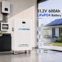 Batterie de stockage d'énergie LiFePO4 YUNFENG 51,2V 600AH 30kWh, 48V, stockage d'énergie domestique, BMS intégré pour système d'alimentation solaire hors réseau