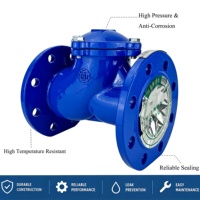 Katup Bola Pencegah Aliran Balik (Non-Return Valve) PN10-64 dari Besi Ulet untuk Air Laut, Mudah Perawatan, Sambungan Flens untuk Limbah