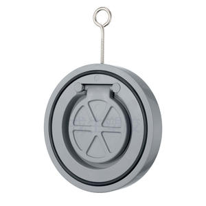 Válvula de retención de una sola lámina Rong Sheng Cpvc para agua, tipo paso directo, válvula antirretorno. - Product Image 1