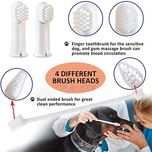 Shopee中国供应商消除口臭宠物牙膏和牙刷套装 - Product Image 5