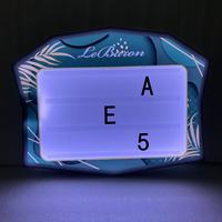 Présentoir de bouteilles LED en acrylique personnalisé en forme de feuille de palmier tropicale, avec lettres interchangeables, alimenté par batterie au lithium rechargeable, lumière portable