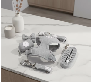 <span class=keywords><strong>2026</strong></span>年新作カスタム高級ファッションナイロン製犬用ハーネスセット、調節可能なオリジナルロゴ入り、ノープルで快適な犬用首輪とリード - Product Image 2