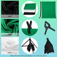 Ensemble de 200x300cm 1 Fond Vert pour Photographie et Vidéo, Lumières, Parapluie Réflecteur en Acier Inoxydable, Studio Photo Professionnel