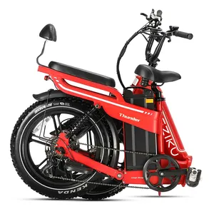 מכירה חמה Eziku 750W אופניים חשמליים מתקפלים 48V 30AH סוללת ליתיום נשלפת לטווח ארוך 20 אינץ'x4.0 אינץ' צמיג שמן שלב-שלב למבוגרים