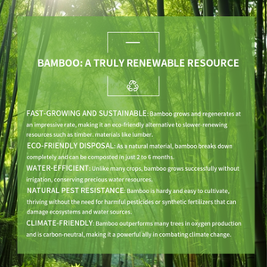 <span class=keywords><strong>Brosse</strong></span> de toilette à manche en bambou biodégradable jetable écologique et tête en viscose ou écouvillon pour cuvette de toilette ou cuvette de toilette NO.7209 - Product Image 5