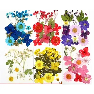 Mélange de vraies fleurs séchées pour résine, 50 pièces, fait à la main, coloré, Arrangement Floral, vente en gros
