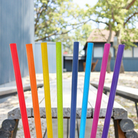 Pailles pliables jetables colorées de PLA pour des boissons non alcoolisées pour des parties