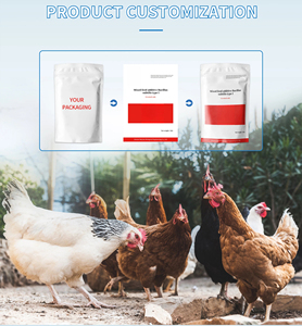 Probiótico Compuesto en Polvo de Grado Alimenticio para el Crecimiento Animal y Estimulación de la Producción de Huevos, Salud Intestinal y Apoyo Nutricional - Product Image 2
