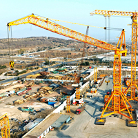Grue à flèche oscillante DAHAN DHL3300, capacité de 220 tonnes, hauteur libre de 222 m, moteur, moment de levage de 3300 t.m, équipement de construction lourd