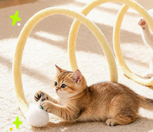 Tunnel pliable en peluche pour chat, jouet interactif avec pompon et clochette pour chats d'intérieur et chatons - Product Image 1