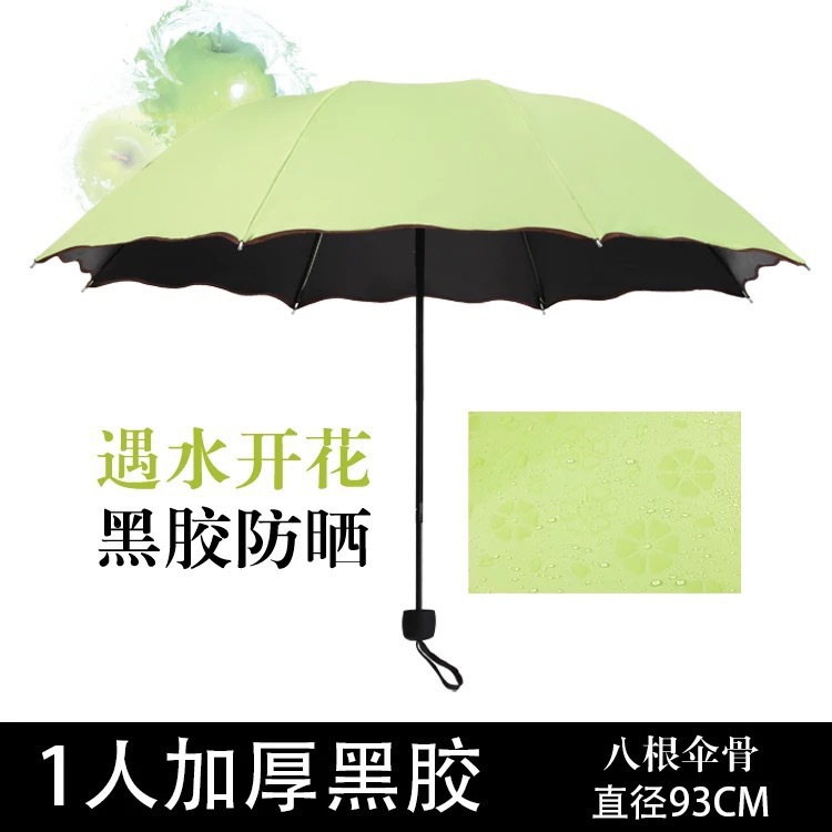 Autumn Fragrance Green - 8-ribbed Flowering Umbrella