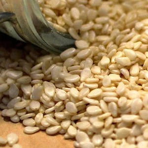 Semillas de Sésamo Blanco Premium, Ingredientes Alimenticios Naturales Secos, Suministro al por Mayor para Panadería, Confitería, Condimentos y Salsas - Product Image 4