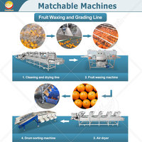ORME kleine dadel avocado sorteermachine kiwi citrus appel fruit maat sorteermachine voor aardappelen