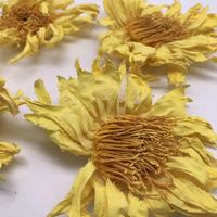 Teh Bunga Alami Premium Bunga Teratai Kuning Kering Utuh Nelumbo Lutea untuk Teh Grosir Massal Segar Kering