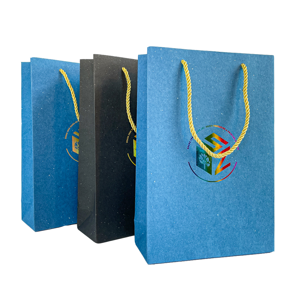 Luxury Custom Own Logo Printed Retail Clothing Packaging Paper Bag Shopping Packaging Paper Bag for Apparel