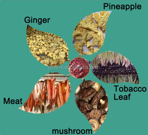 Machine de séchage avec filtre solaire, plateau pour économie d'énergie de w, Type maille pour légumes, ceinture, casava, herbes, konjas - Product Image 5