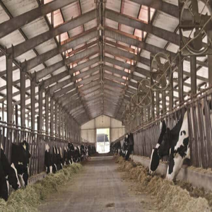 Establo Prefabricado Moderno para Aves de Corral, Estructura de Acero con Placas de FRP, para Cabras, Ovejas, Vacas y Ganado - Product Image 3