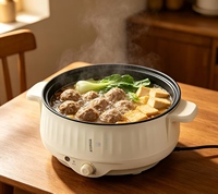 Casserole électrique 2,2 L antiadhésive à simple ou double couche pour 1-2 personnes, multicuiseur pour la maison et l'hôtel