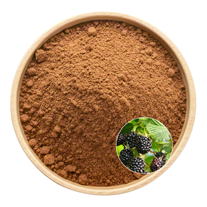 Organic Vegan HALAL KOSHER Certified Mulberry Leaf Extract Full Category Customization Branding Service - Product Image 3