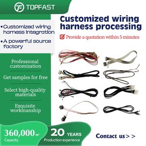 Profession eller Kabel hersteller Kunden spezifische Produktion Alle Arten Ausrüstung Anschluss drähte Kabel baugruppe und Jst Xh Kabelbaum - Product Image 4