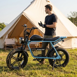 Vélo électrique mini 48V avec phare LED et dérailleur 7 vitesses, vélo électrique tout-terrain pour les escapades de week-end - Product Image 6