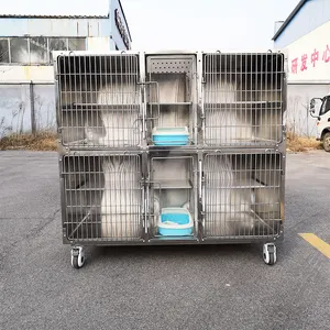 Animalerie 2 couches, assemblage de grande Cage pour vétérinaire en acier inoxydable, Cages modulaires pour chiens