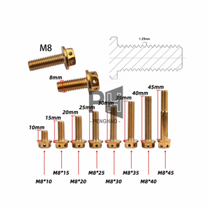 Hợp kim thép titan mạ vàng vít tùy chỉnh GR5 bault <span class=keywords><strong>ti</strong></span> vít <span class=keywords><strong>Fastener</strong></span> M4 M5 <span class=keywords><strong>M8</strong></span> M10 304 Hex lục giác ổ cắm vít - Product Image 5
