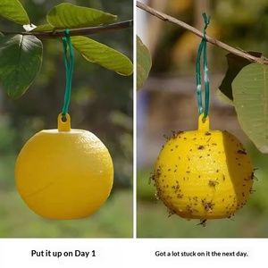 Piège à mouches à fruits collant jaune, résistant à l'eau et aux UV, attrape-parasites pour verger et jardin - Product Image 6