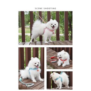 <span class=keywords><strong>Harness</strong></span> dan Tali Anjing Bermotif Polos dengan Bantalan, Set dengan Kalung Senada dari Poliester untuk Anjing Kecil hingga Sedang - Product Image 4