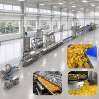 Ligne de production automatique de machines à fabriquer des chips de pommes de terre avec certification CE, installation à l'étranger