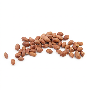 Nouvelle saison, arachides comestibles indiennes, noyaux d'arachides comestibles de qualité supérieure, noyaux d'arachides comestibles frais, nouvelle récolte - Product Image 1