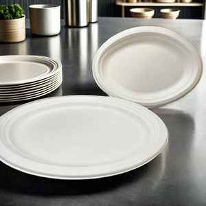 Precio DE FÁBRICA DE China Full Sum Brand FTD041 Bandeja de papel degradable desechable con tapa 280*220*45 33g para eventos de regreso a la escuela - Product Image 5